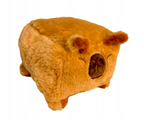 CAPYBARA MASKOTKA KAPIBARA PLUSZAK KWADRAT 15 CM KWADRATOWY MIŚ KAPYBARA